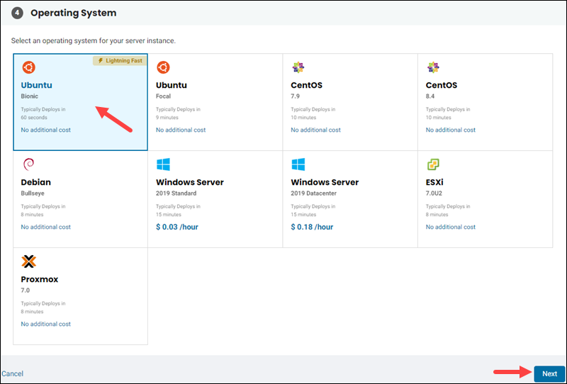 Select the operating system for the small instance server.