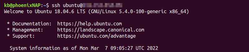 ssh server connection terminal output