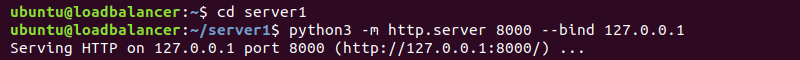Starting test web server using Python