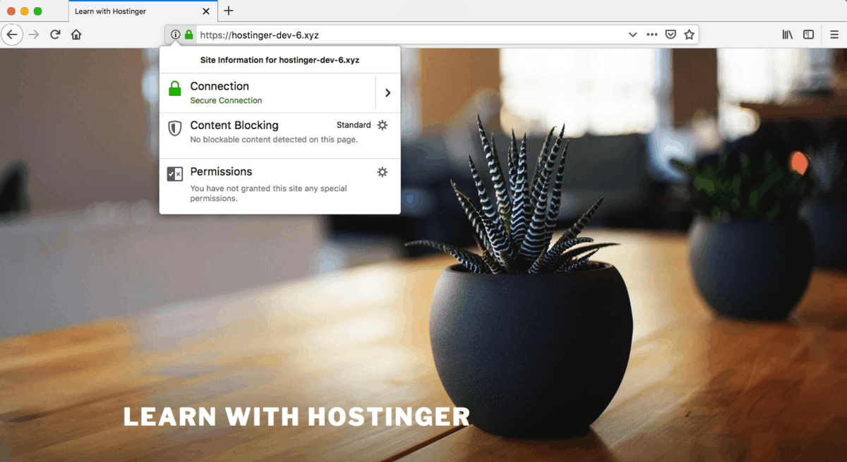 Green Padlock in HTTPS Connection