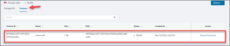 Volumes detail page UI