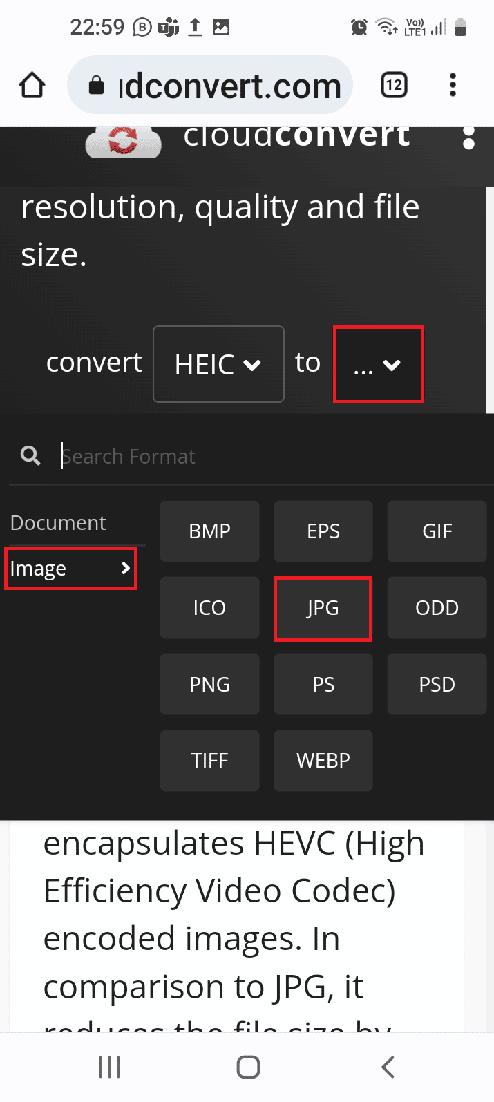 navigate to the Image tab and tap on the JPG option