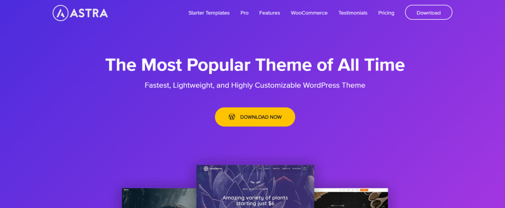 Astra WordPress theme