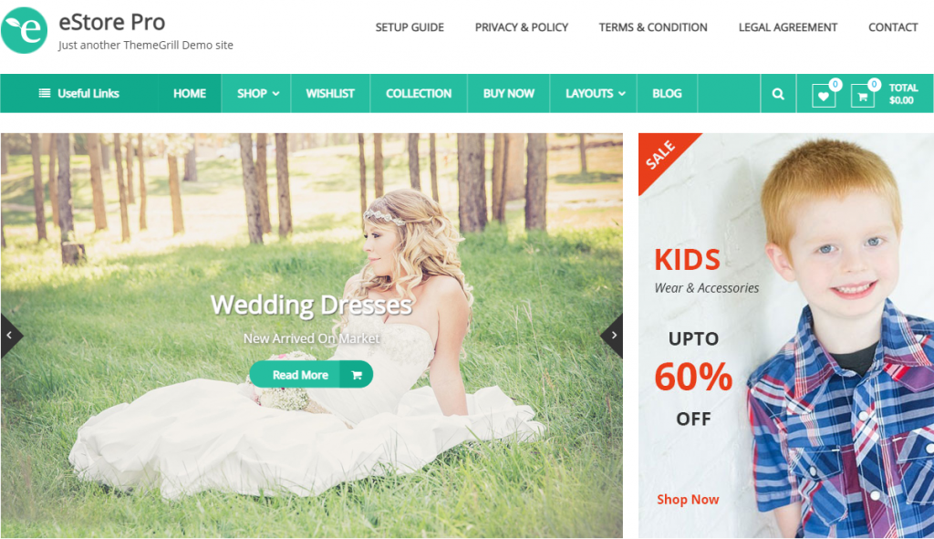 eStore WordPress WooCommerce Theme