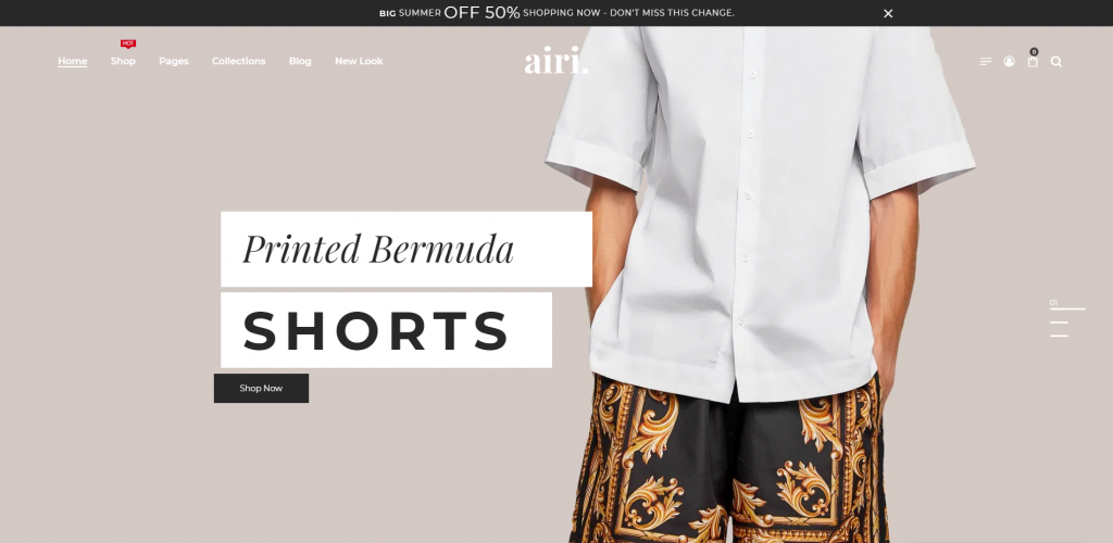 Airi WP WordPress WooCommerce Theme