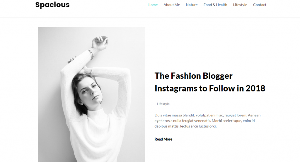 Spacious Free WordPress Blog Theme