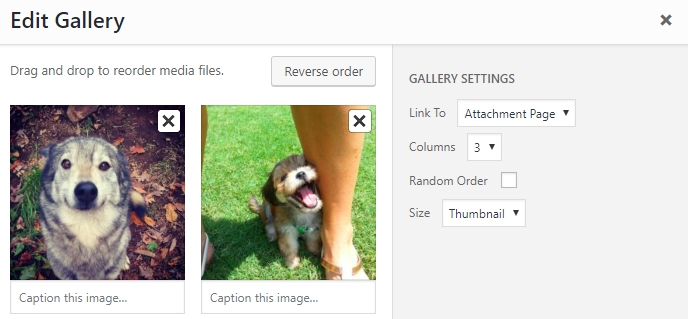 Editing your WordPress gallery.
