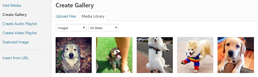 Creating a WordPress gallery.