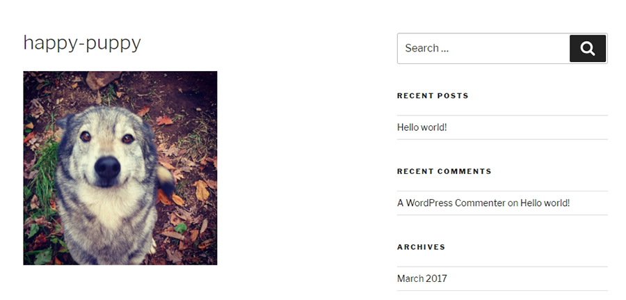 A WordPress media attachment image.