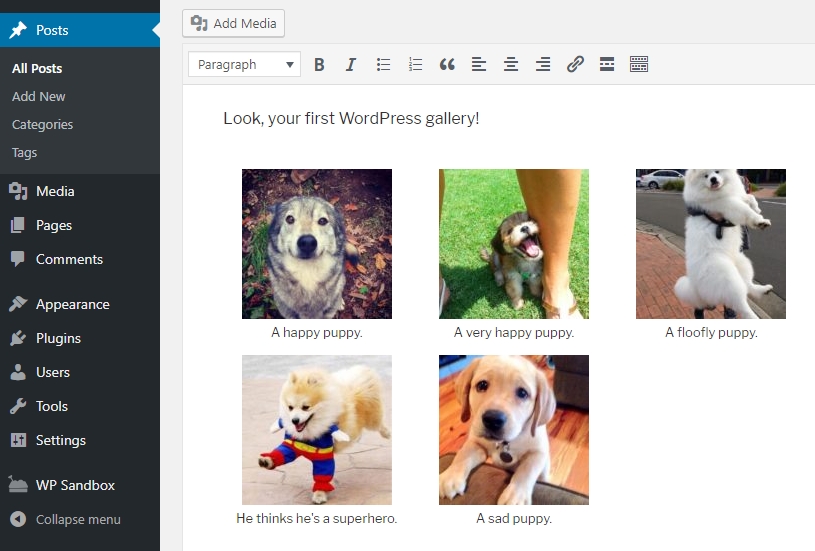Inserting a gallery within your post.