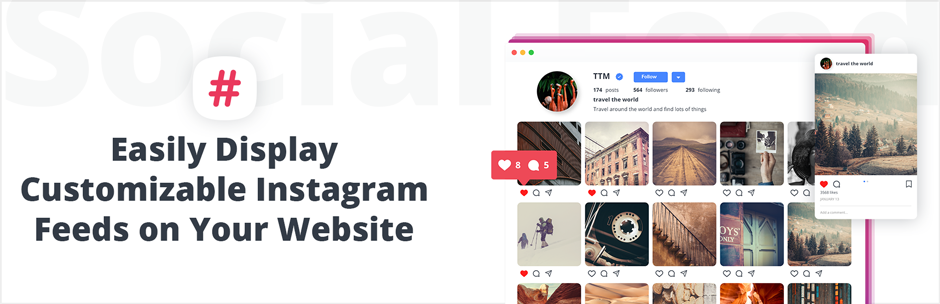 10Web WordPress Social Media plugin
