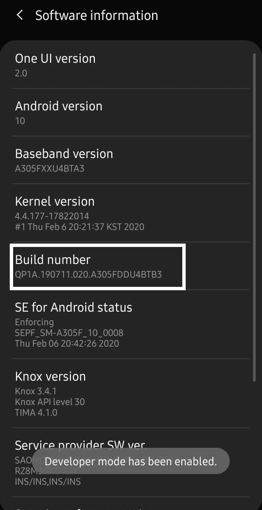 Locate the Build Number