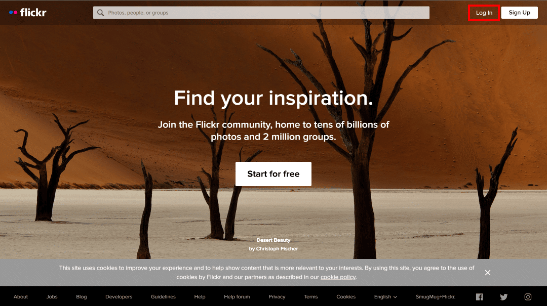 Click on the Log In button at the top right of the screen.