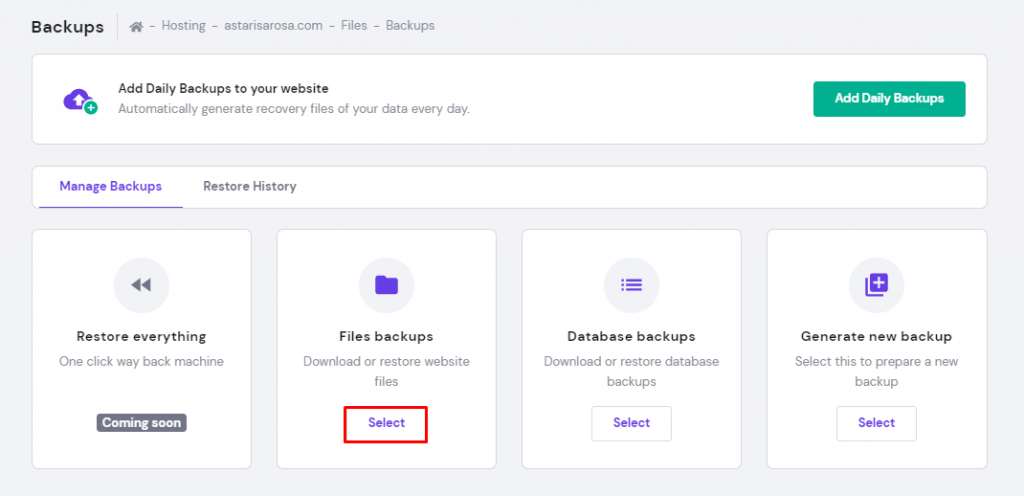 Files backups on hPanel's Backups tool.