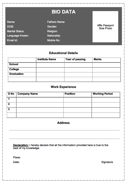 Simple job bio data format