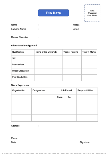 bio data format for job application