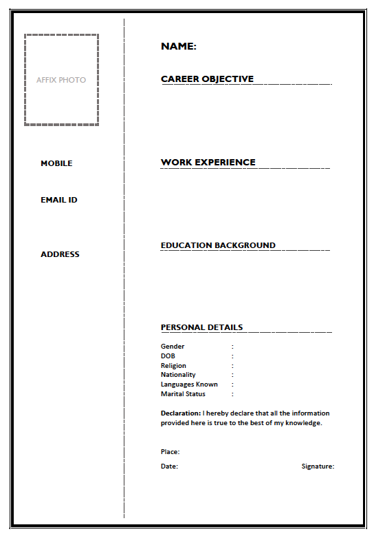 Bio data form for job interview
