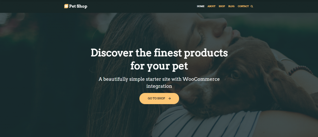 Screenshot of Neve WordPress theme
