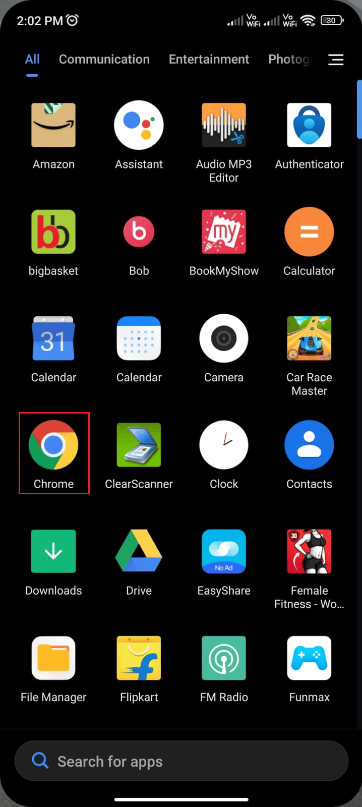 Chrome icon