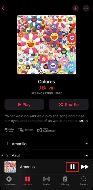 tap on the Pause icon from the song tab