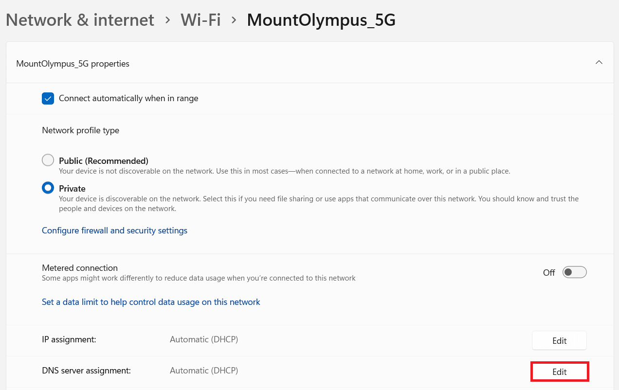 DNS server assignment edit option