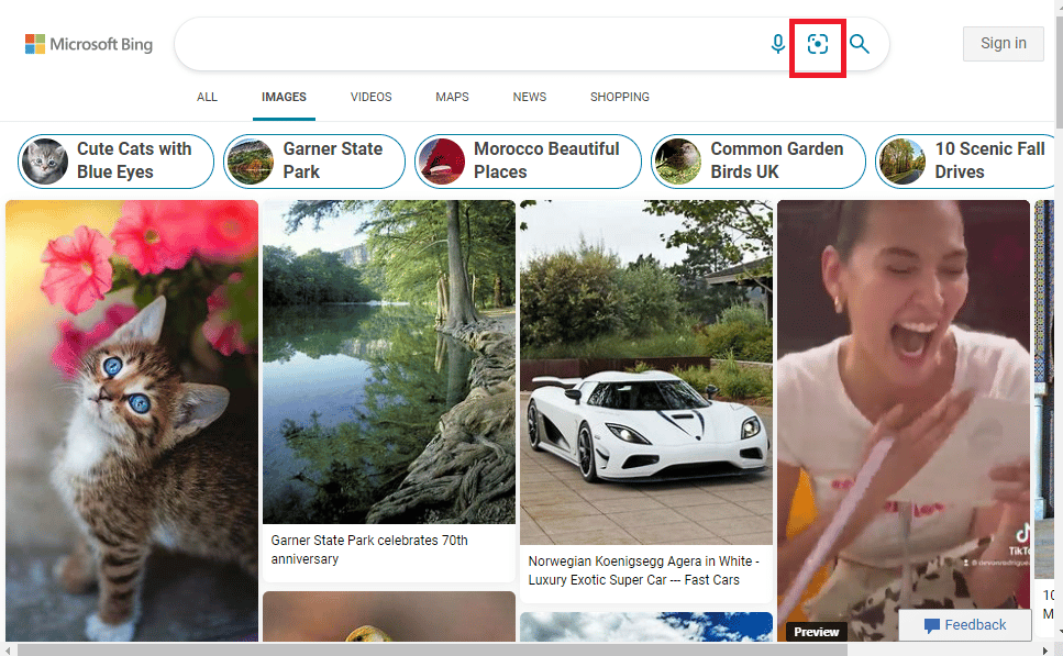 Open the Bing Reverse Image and click on the camera icon on the search bar