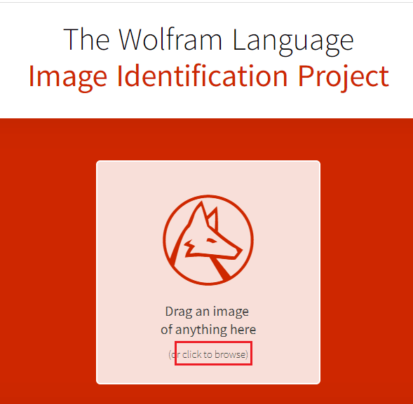 Click on the click to browse option