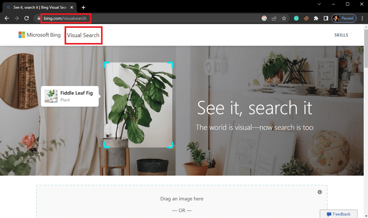 Open your Web Browser and visit the Bing Visual Search