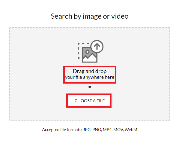 Drag and drop your file anywhere here or CHOOSE A FILE button