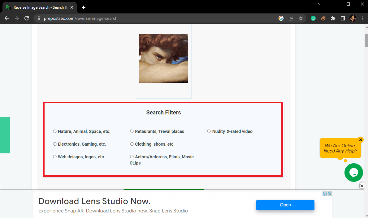 Once your image is uploaded you can use various Search Filters to be specific about your search
