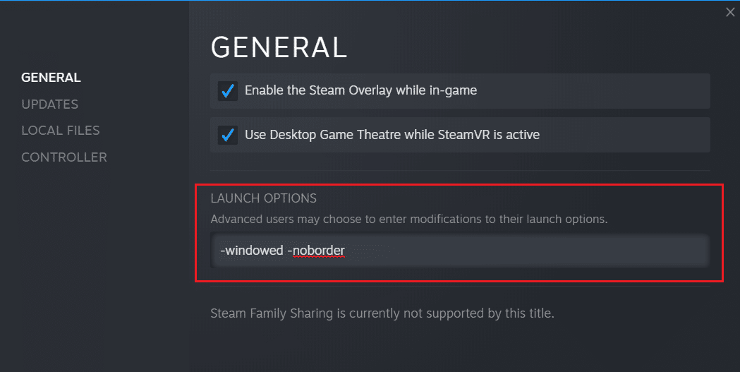 steam launch options