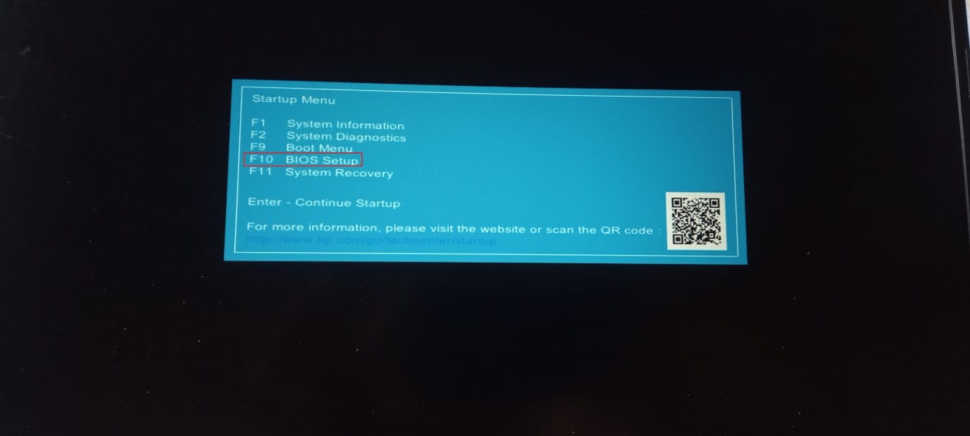 press F10 to access BIOS Setup