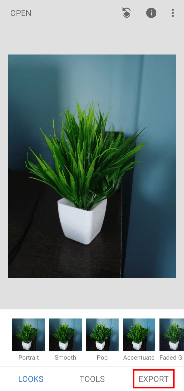 Tap on the EXPORT menu. | How to Unblur an Image on iPhone