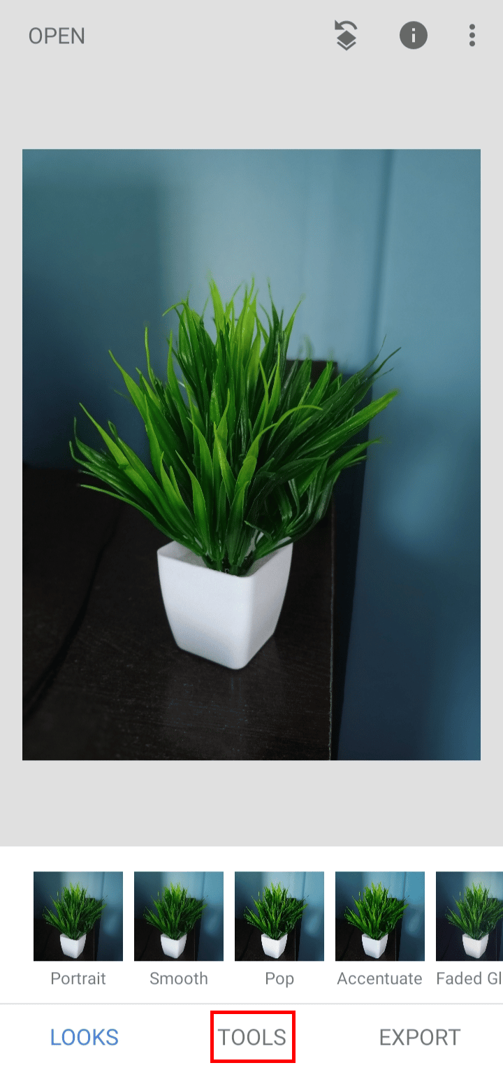 Once the picture is opened tap on TOOLS. | How to Unblur an Image on iPhone