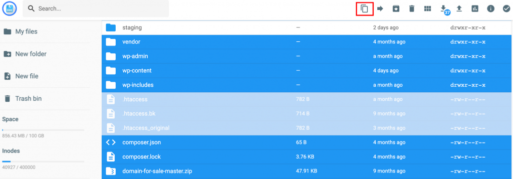 The Copy button in File Manager.