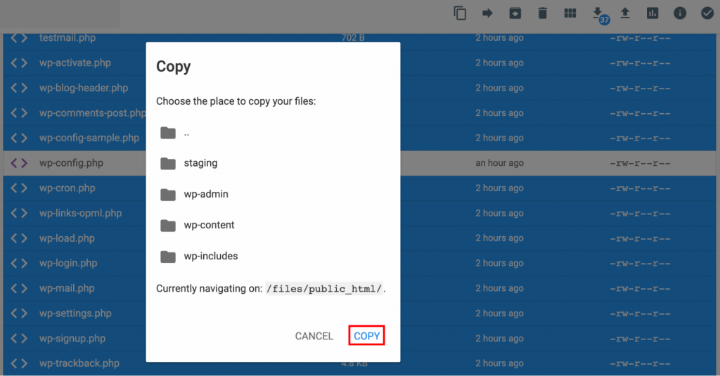The Copy button on the Copy window on File Manager.