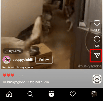 Select the share icon on the right side which looks like a paper plane.