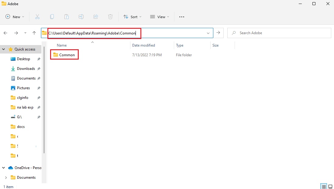 adobe common folder in appdata roaming