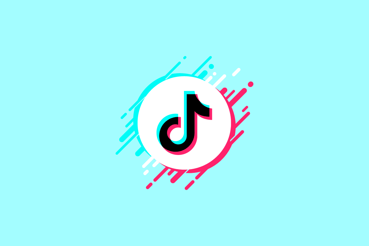 Where Do You Find the Bio on TikTok?