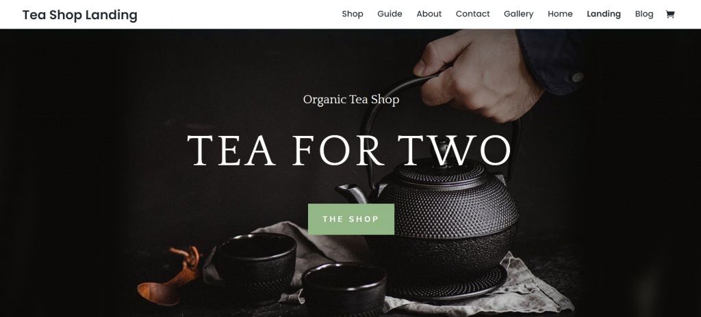 Divi WordPress eCommerce Theme
