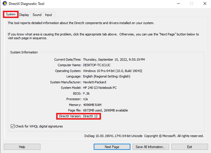 Check for the DirectX version in the System tab