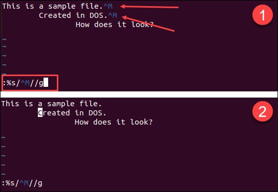 Remove the carriage return line ending using the vi text editor.