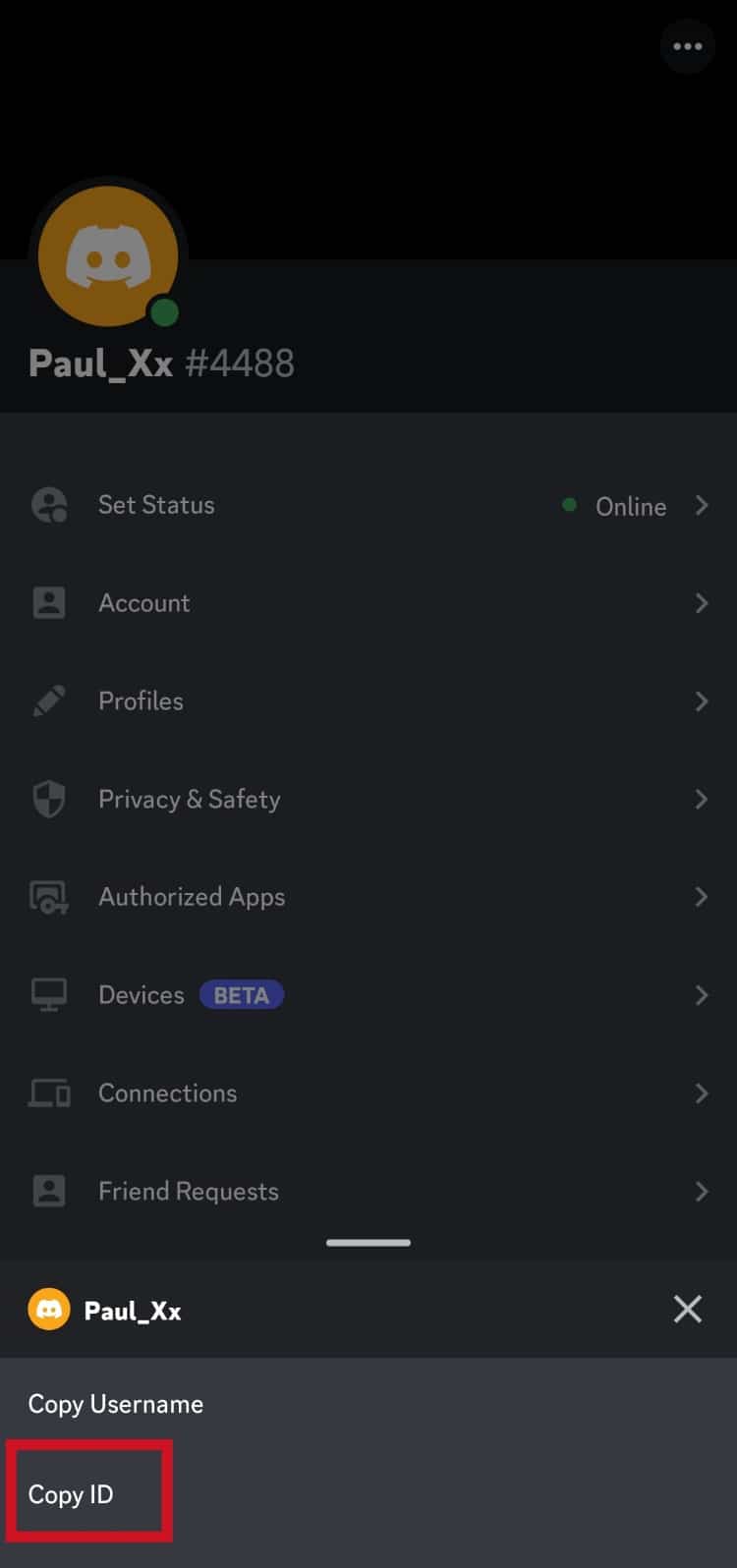 Tap on the Copy ID option