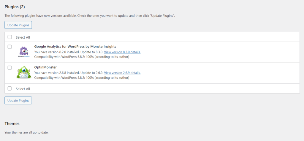 Screenshot of the WordPress plugins and themes update section