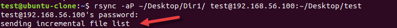 Running the rsync command with the status option when there are no modifications or new files