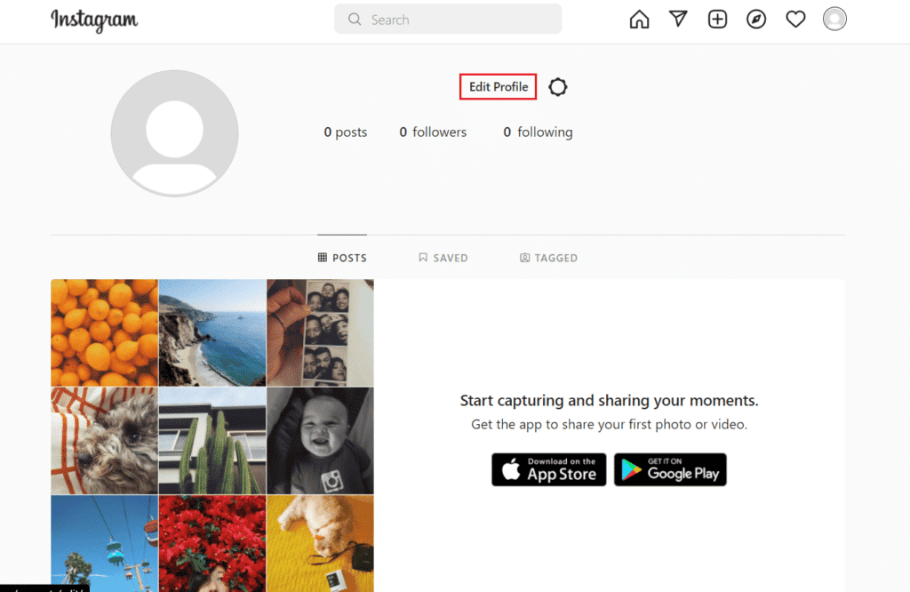 Click on Edit Profile.
