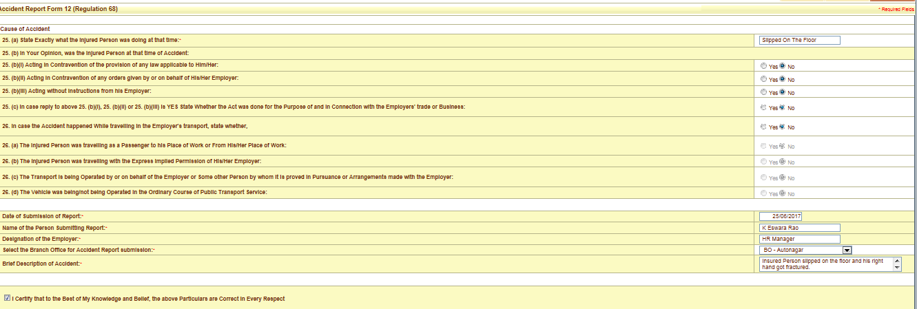 ESIC Accident Report Form 12