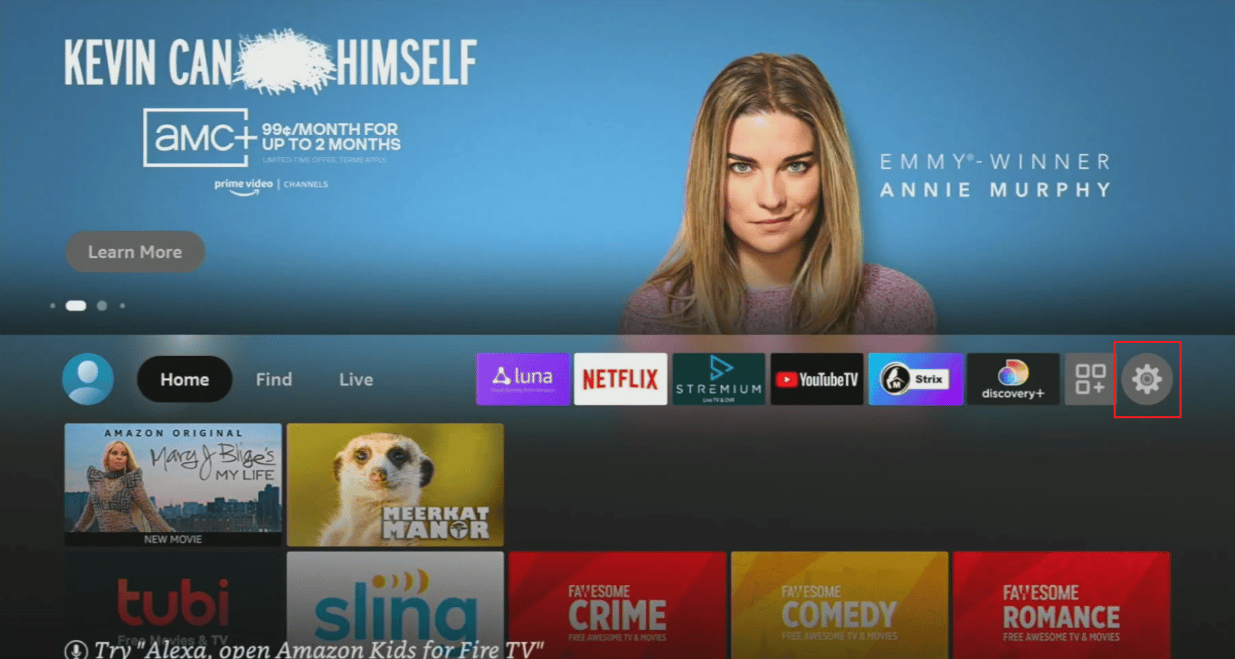 On the Amazon Fire Stick, select the Settings gear icon
