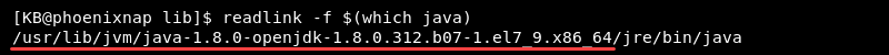readlink which java terminal output