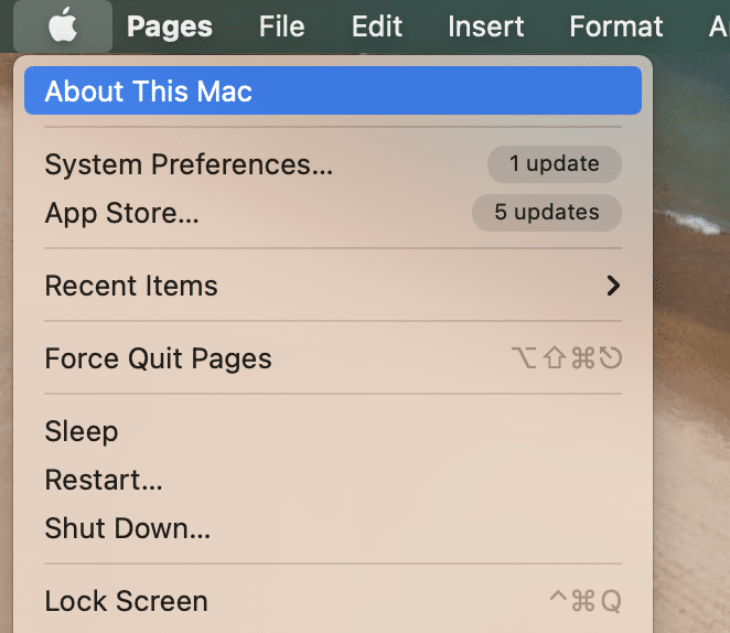 From the list that is now displayed, select About This Mac. 